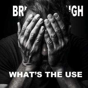 What’s the Use What’s the Use