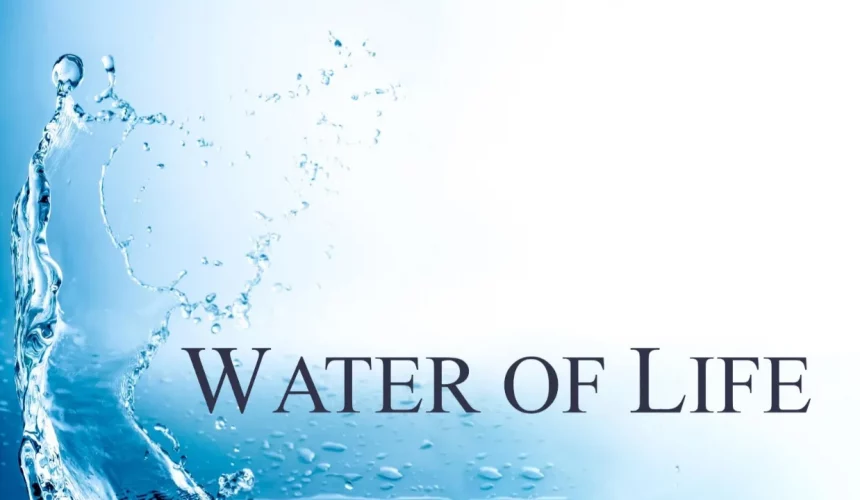 Invitation to Life Invitation to Life